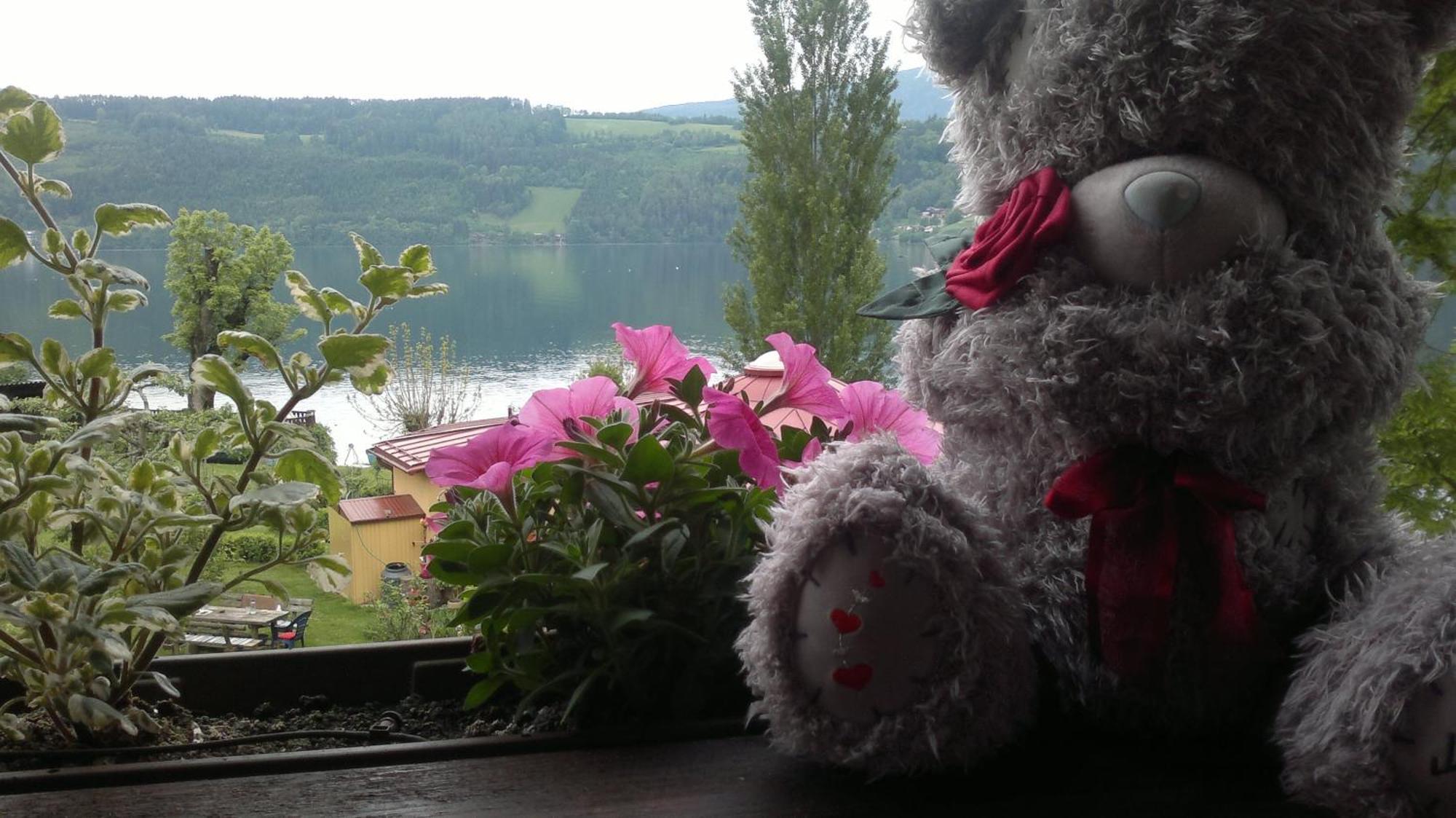 Ferienwohnungen Fischerhaus - Direkt Am See Millstatt Exterior photo